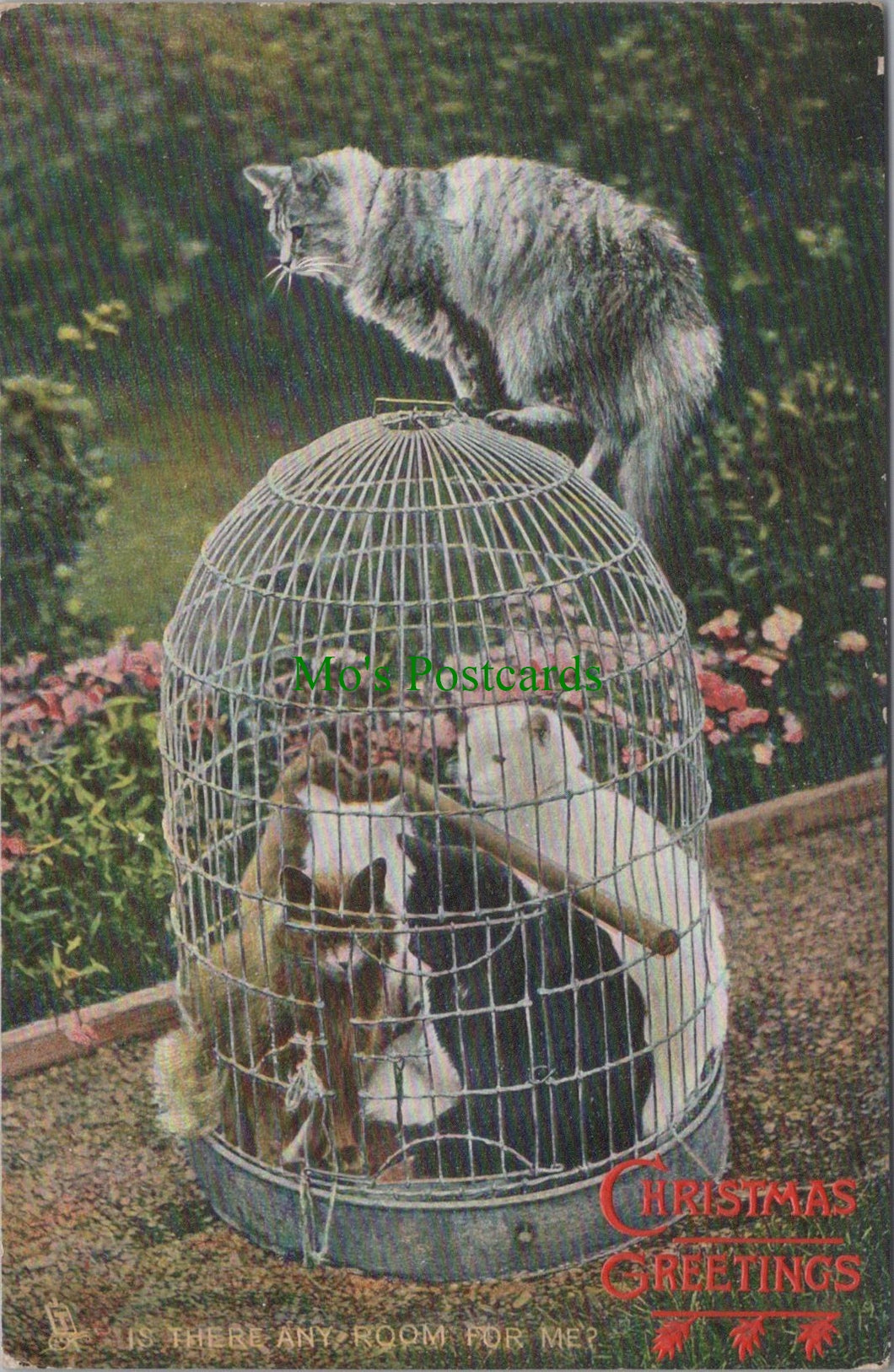 Animals Postcard - Cats Inside a Bird Cage