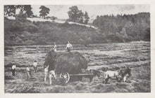Load image into Gallery viewer, Oxfordshire Postcard - Harvesting The Hay, Wootton, Near Woodstock About 1900 - Mo’s Postcards 
