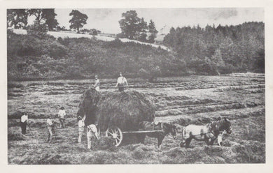 Oxfordshire Postcard - Harvesting The Hay, Wootton, Near Woodstock About 1900 - Mo’s Postcards 