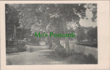 Load image into Gallery viewer, Cricket Field Lane, Bishop's Stortford, Hertfordshire