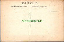 Load image into Gallery viewer, Winter Gardens, Weston-Super-Mare, Somerset