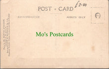 Load image into Gallery viewer, Pride of Lions, African Wildlife