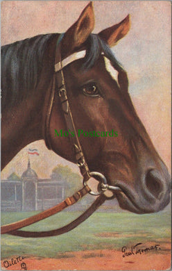 Animals Postcard - A German Race-Horse