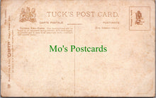 Load image into Gallery viewer, Animals Postcard - A German Race-Horse