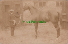 Load image into Gallery viewer, Animals Postcard - Horse Called Lorello
