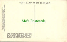 Load image into Gallery viewer, The Bermuda Lobster