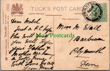 Load image into Gallery viewer, Dogs - At The Tryst - The Trysting Place