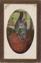 Load image into Gallery viewer, Animals Postcard - Cat on a Basket
