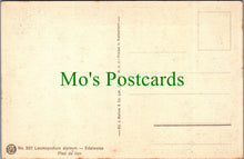 Load image into Gallery viewer, Flowers Postcard - Leontopodium Alpinum