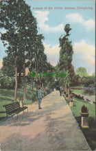 Load image into Gallery viewer, Avenue of The Public Gardens, Hong Kong