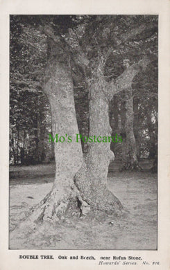 Hampshire Postcard - Double Tree, Oak and Birch, Near Rufus Stone - Mo’s Postcards 