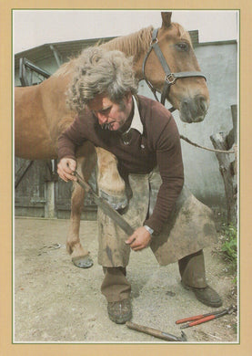 Traditional Crafts Postcard - Farrier Shoeing Horse - Mo’s Postcards 