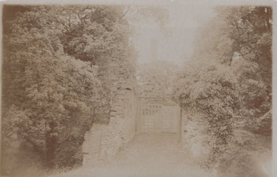 Unknown Location Postcard - Unlocated Entrance Gate - Mo’s Postcards 