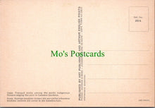 Load image into Gallery viewer, Caledon Gardens, Cape, South Africa