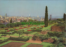 Load image into Gallery viewer, Spring Scene, Pretoria, South Africa