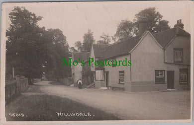 Essex Postcard - Willingale Village, Epping Forest  SW11737