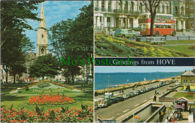 Sussex Postcard - Greetings From Hove  DC1271