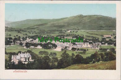 Cumbria Postcard - Ambleside Village   DC1304
