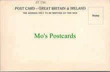 Load image into Gallery viewer, Cumbria Postcard - Ambleside Village   DC1304
