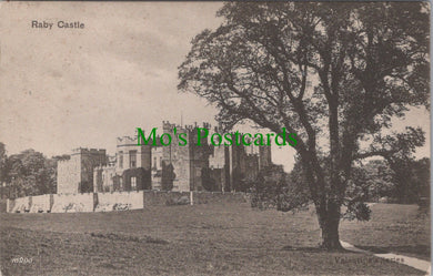 Co Durham Postcard - Raby Castle   DC1221