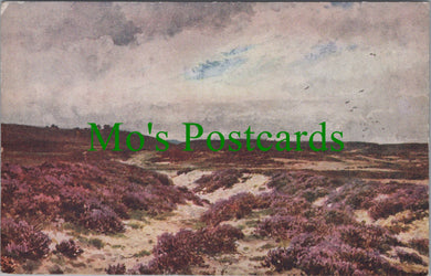 Surrey Postcard - Frensham Common, Artist Sutton Palmer SW11825