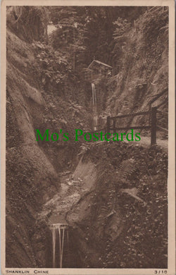 Isle of Wight Postcard - Shanklin Chine - Advertising SW11851