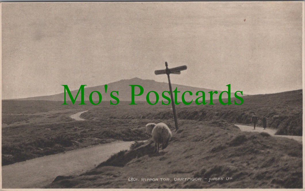 Devon Postcard - Rippon Tor, Dartmoor  SW11883