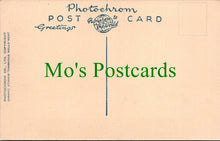 Load image into Gallery viewer, Dorset Postcard - West Lulworth Village  SW11926
