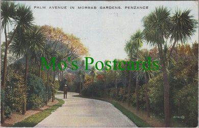 Cornwall Postcard - Penzance, Palm Avenue in Morrab Gardens  SW11945