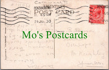 Load image into Gallery viewer, Cornwall Postcard - Penzance, Palm Avenue in Morrab Gardens  SW11945
