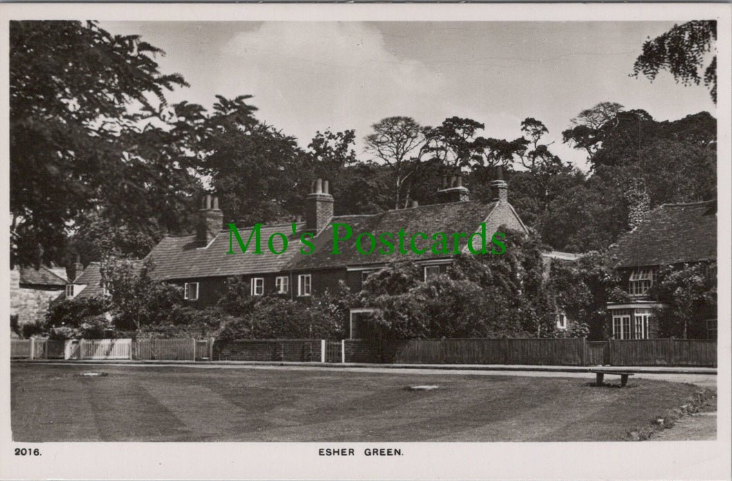 Surrey Postcard - Esher Green   RT2457