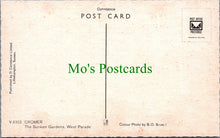 Load image into Gallery viewer, Norfolk Postcard - Cromer, The Sunken Gardens, West Parade SW13428
