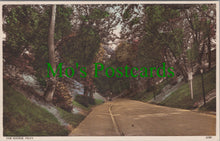 Load image into Gallery viewer, Yorkshire Postcard - Filey, The Ravine  SW12005
