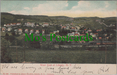 America Postcard - West End of Liberty, New York   SW12071