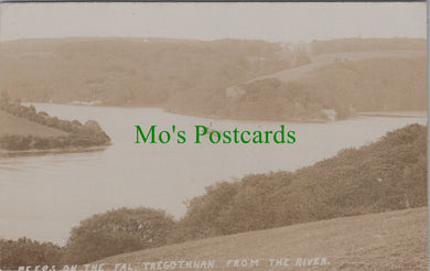 Cornwall Postcard - On The Fal, Tregothnan From The River   SW11110
