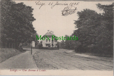 Belgium Postcard - Liege, Une Avenue a Cointe    SW11130