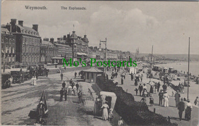 Dorset Postcard - The Esplanade, Weymouth   SW11203