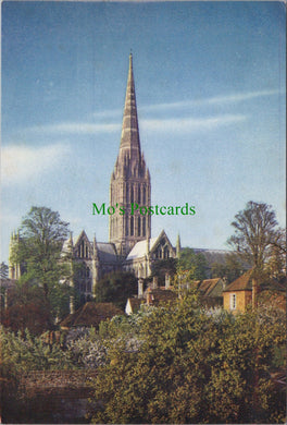 Wiltshire Postcard - Salisbury Cathedral  SW12856