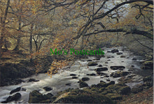 Load image into Gallery viewer, Wales Postcard - River Lledr, Nr Bettws-y-Coed SW12889
