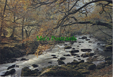 Wales Postcard - River Lledr, Nr Bettws-y-Coed SW12889