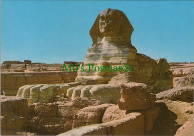 Egypt Postcard - Giza, The Sphinx    SW11369