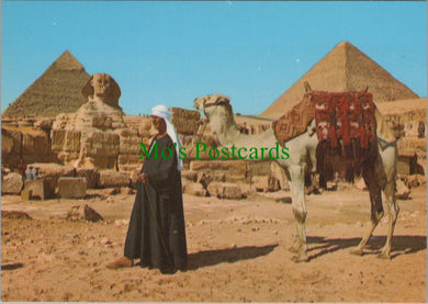 Egypt Postcard - Giza, The Sphinx and The Pyramids    SW11370