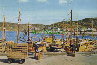 Scotland Postcard - Lochinver From The Pier, Sutherland   SW11414