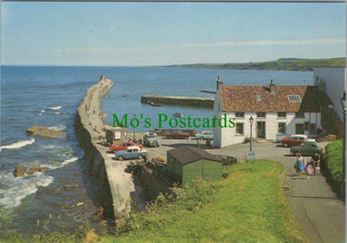 Scotland Postcard - The Harbour, St Andrews, Fife  SW11420