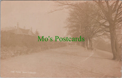 Dorset Postcard - The Park, Shaftesbury  DC2508