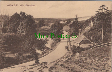 Dorset Postcard - Blandford, White Cliff Mill  DC2512