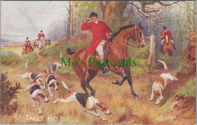 Animals Postcard - Dogs, Foxhounds, Hunting Scene DC2494