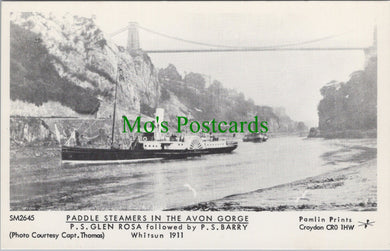 Bristol Postcard - Paddle Steamers in The Avon Gorge  SW11726