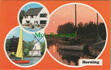 Norfolk Postcard - Views of Horning   SW11621
