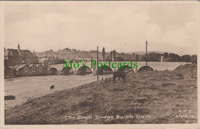 Wales Postcard - Builth Wells, The Town Bridge  SW13576